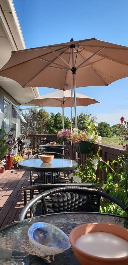 Brook House B&B & Cottages Kaikoura Luaran gambar