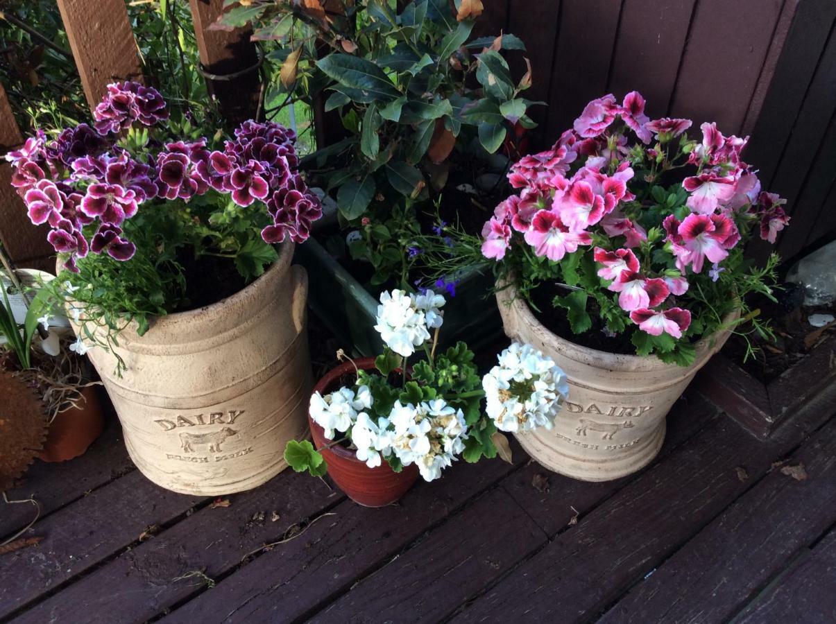 Brook House B&B & Cottages Kaikoura Luaran gambar
